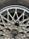 IMG_0438.jpeg